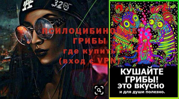 таблы Козельск
