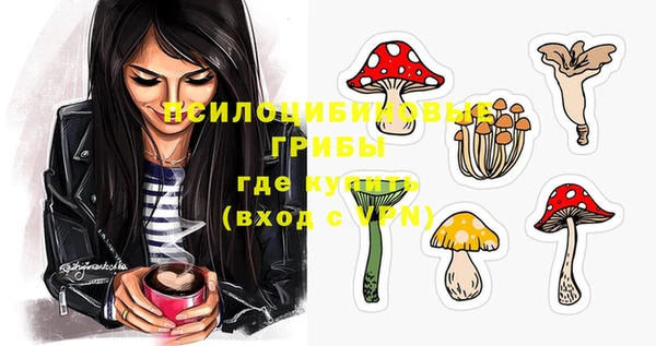 шишки Балахна