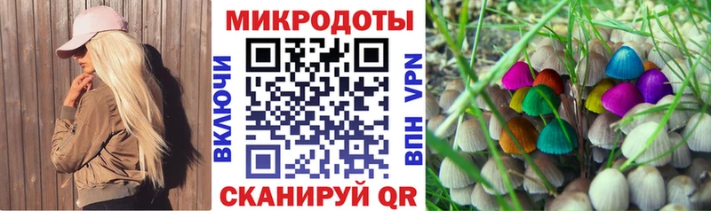 Псилоцибиновые грибы ЛСД Ершов