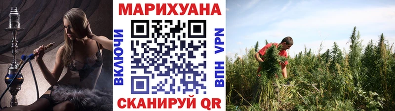 Канабис SATIVA & INDICA Ершов